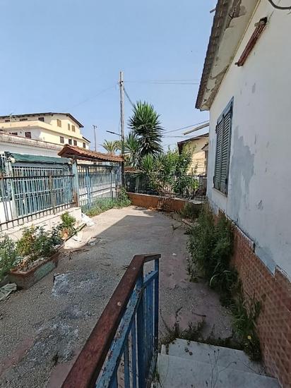  id.5308261