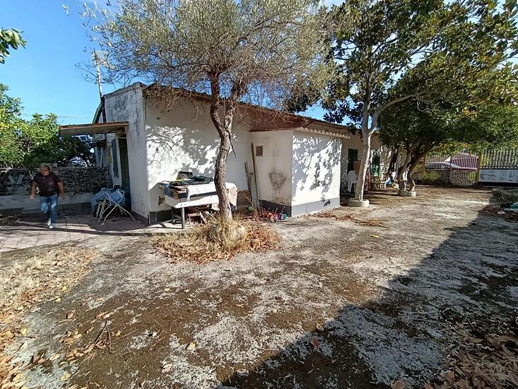  id.5313201