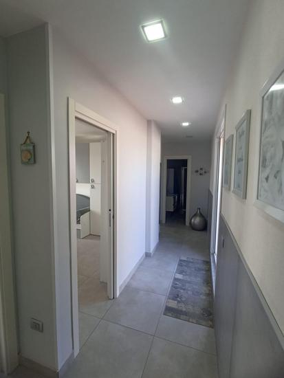  id.5313475